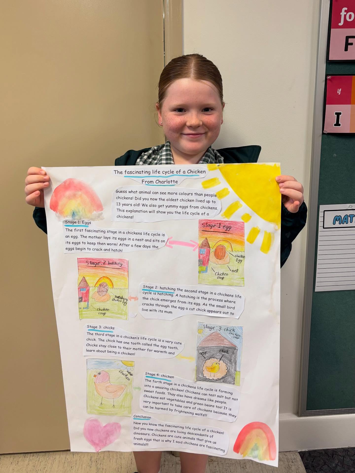 Student holding a poster of the lifecylce of a chicken.